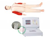 Cardiopulmonary Resuscitation Simulator