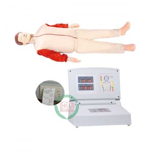 Cardiopulmonary Resuscitation Simulator
